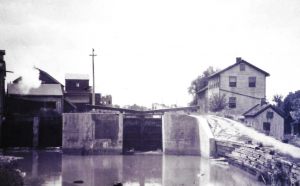 NBHA photos2431